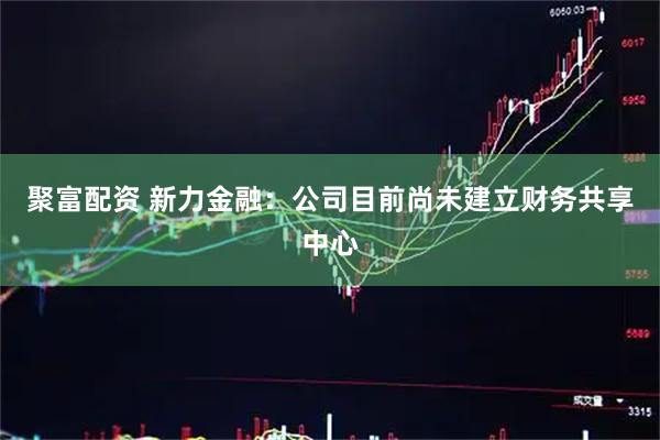 聚富配资 新力金融：公司目前尚未建立财务共享中心